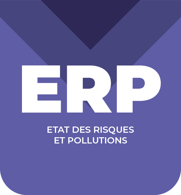 DIAGNOSTIC ERP